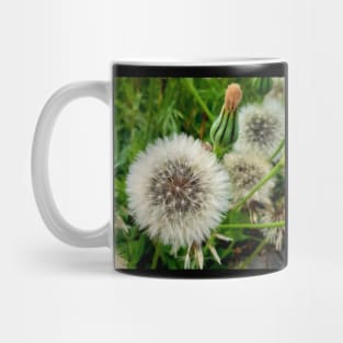 Magnificent dandelion Mug